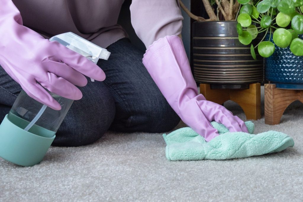 Cleaning up a spill on carpet to prevent mold.