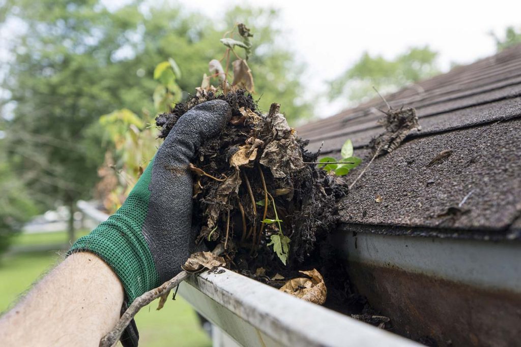 Cleaning Exterior Gutter