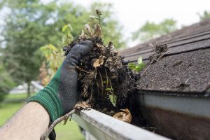 Dirty Gutters on a house.