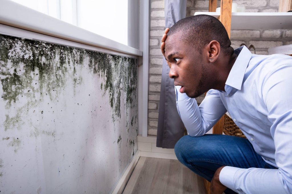 Mold Growth in Home