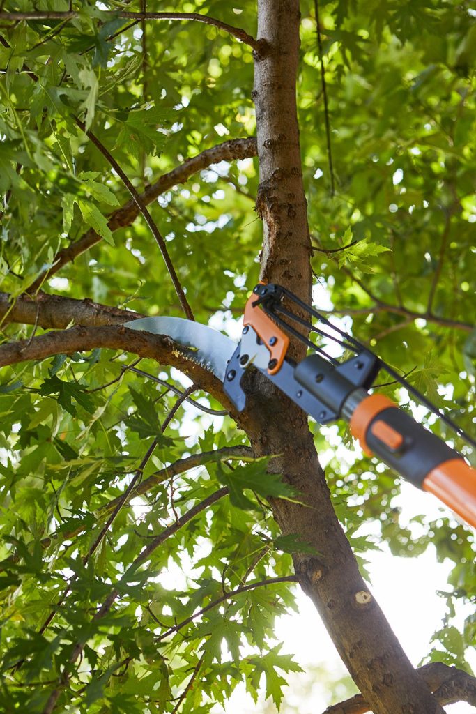 Tree Trimming Service